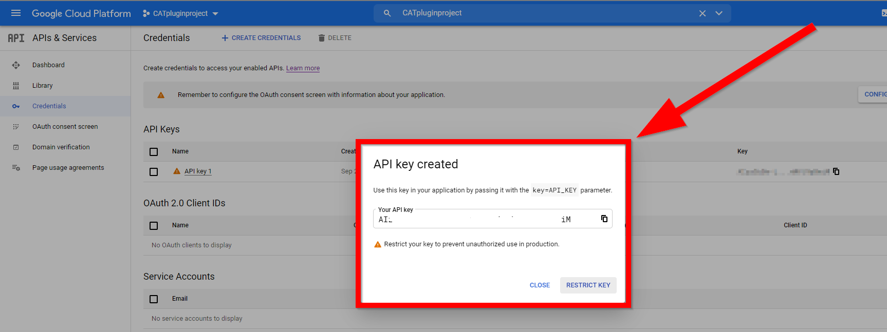 How to obtain an API key_Google_pic16